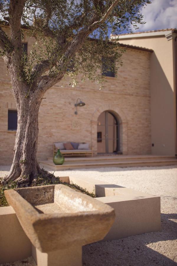 Bed and Breakfast Casale Tre Gelsi Чинголі Екстер'єр фото