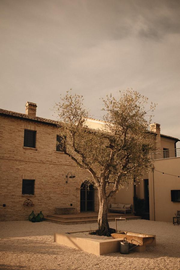 Bed and Breakfast Casale Tre Gelsi Чинголі Екстер'єр фото